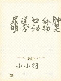 尿道口红肿有透明分泌物是什么病