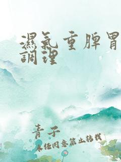 湿气重脾胃怎么调理