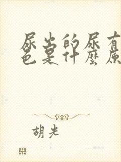 尿出的尿有点红色是什么原因