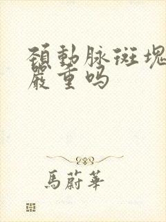 颈动脉斑块2级严重吗