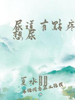 尿道有点疼总是想尿