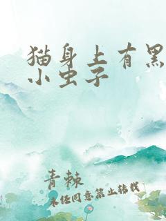 猫身上有黑色的小虫子