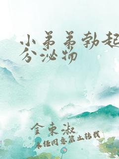 小弟弟勃起没有分泌物