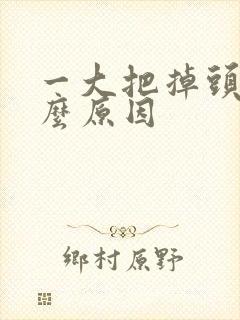 一大把掉头发什么原因