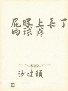 屁眼上长了一个肉球疼