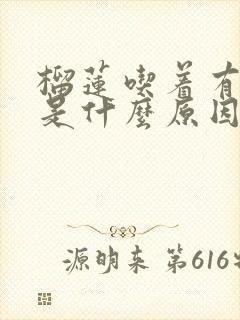 榴莲吃着有点苦是什么原因