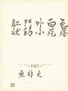 肛门外白色米粒状的小疙瘩怎么回事