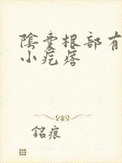 阴囊根部有一堆小疙瘩