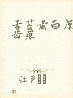 舌苔黄白厚腻有齿痕