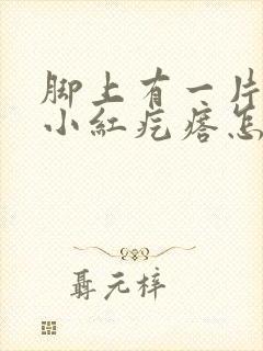 脚上有一片片的小红疙瘩怎么回事