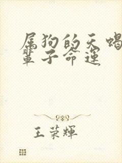 属狗的天蝎女一辈子命运