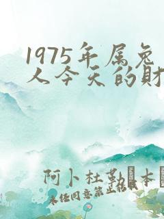 1975年属兔人今天的财运如何