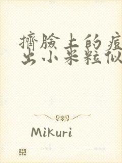 挤脸上的痘痘挤出小米粒似的白东西