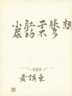 小肚子胀想尿却尿的不多