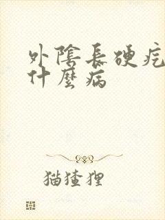 外阴长硬疙瘩是什么病