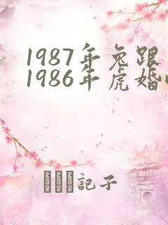 1987年兔跟1986年虎婚配