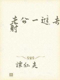 老公一进去就想射