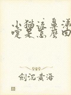 小猫流鼻涕打喷嚏是怎么回事