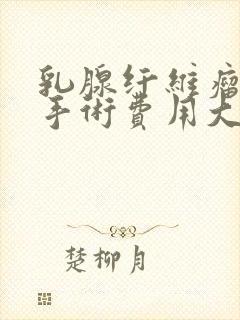 乳腺纤维瘤微创手术费用大概多少钱