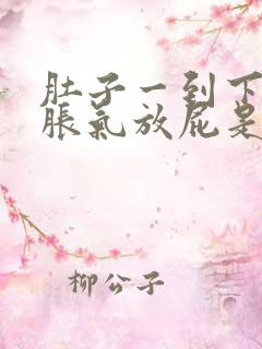 肚子一到下午就胀气放屁是为什么