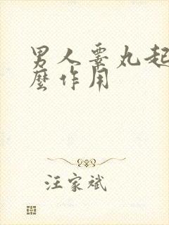 男人睾丸起到什么作用