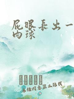 屁眼长出一颗小肉球