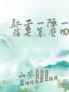 肚子一阵一阵的痛是怎么回事拉血