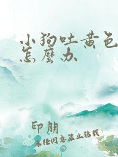 小狗吐黄色粘液怎么办