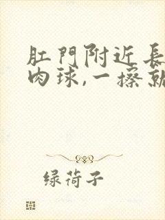 肛门附近长了个肉球,一擦就出血