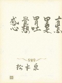 感觉胃里有气恶心想吐是怎么回事