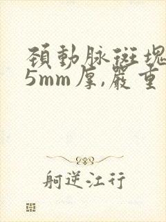 颈动脉斑块1.5mm厚,严重么