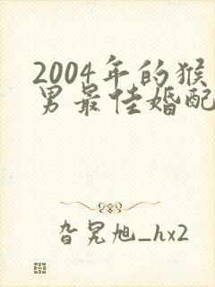 2004年的猴男最佳婚配