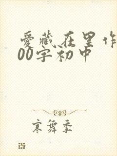 爱藏在里作文800字初中
