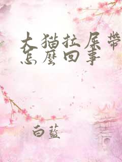 大猫拉屎带血是怎么回事