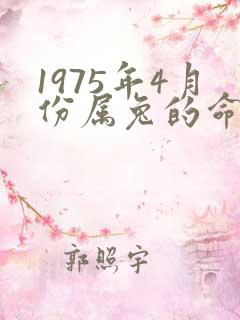 1975年4月份属兔的命运怎样