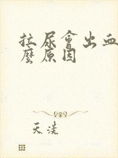 拉尿会出血是什么原因