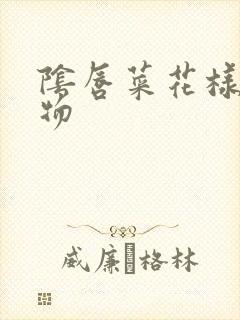 阴唇菜花样赘生物