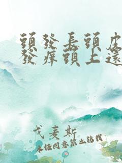 头发长头皮屑和发痒头上还起小疙瘩