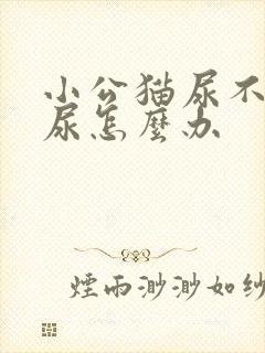 小公猫尿不出来尿怎么办