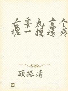 右睾丸有个小硬块一摸还疼