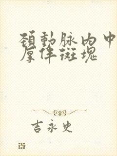 颈动脉内中膜稍厚伴斑块