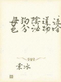 母狗阴道流出白色分泌物啥回事