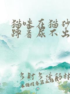 猫咪在猫砂盆里蹲着尿不出来