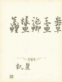 怎样泡玉米粒钓鲤鱼鲫鱼草鱼