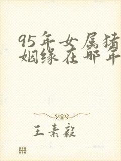 95年女属猪的姻缘在哪年才会成功