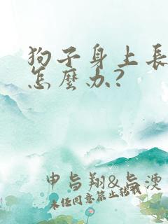 狗子身上长蜱虫怎么办?