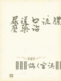 尿道口流脓用什么药治