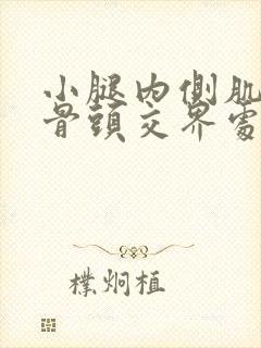 小腿内侧肌肉和骨头交界处痛