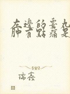 左边的睾丸有点肿有点痛是怎么回事