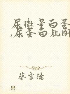 尿微量白蛋白高,尿蛋白肌酐高